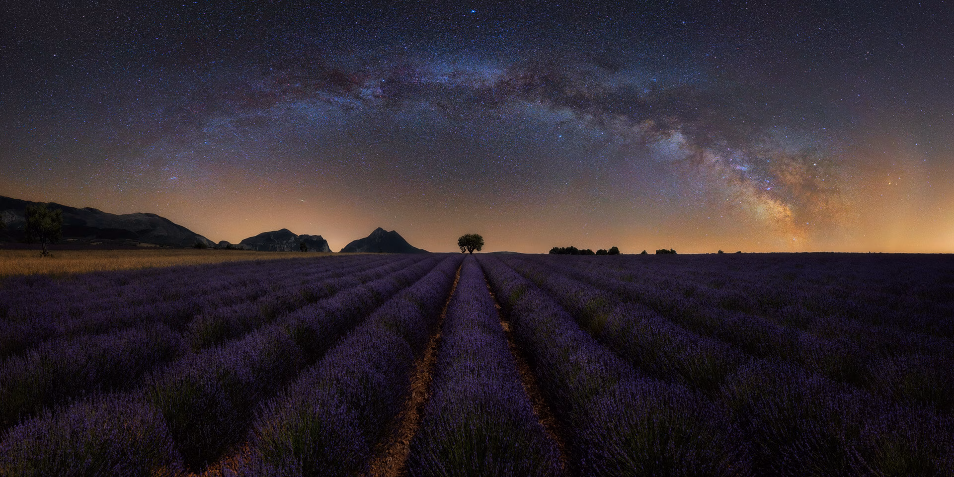 provence-france-lavender-milky-way-alex-wides.avif