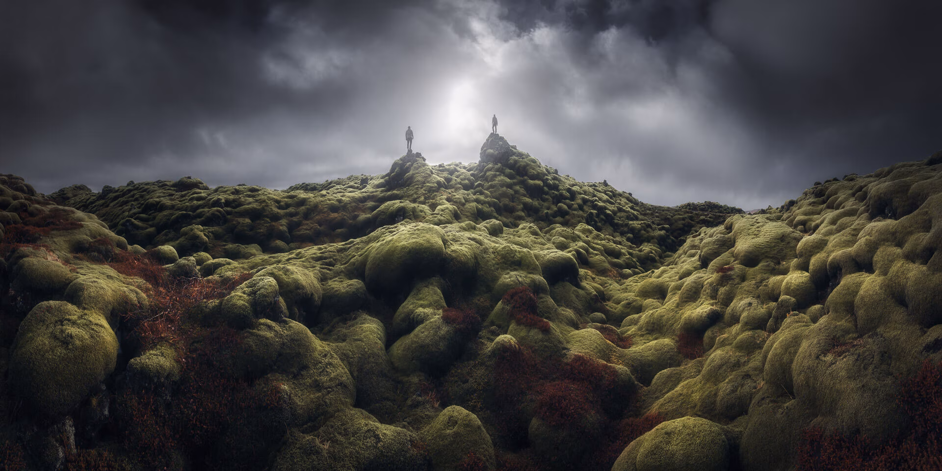 iceland-moss-landscape-moody-alex-wides.avif