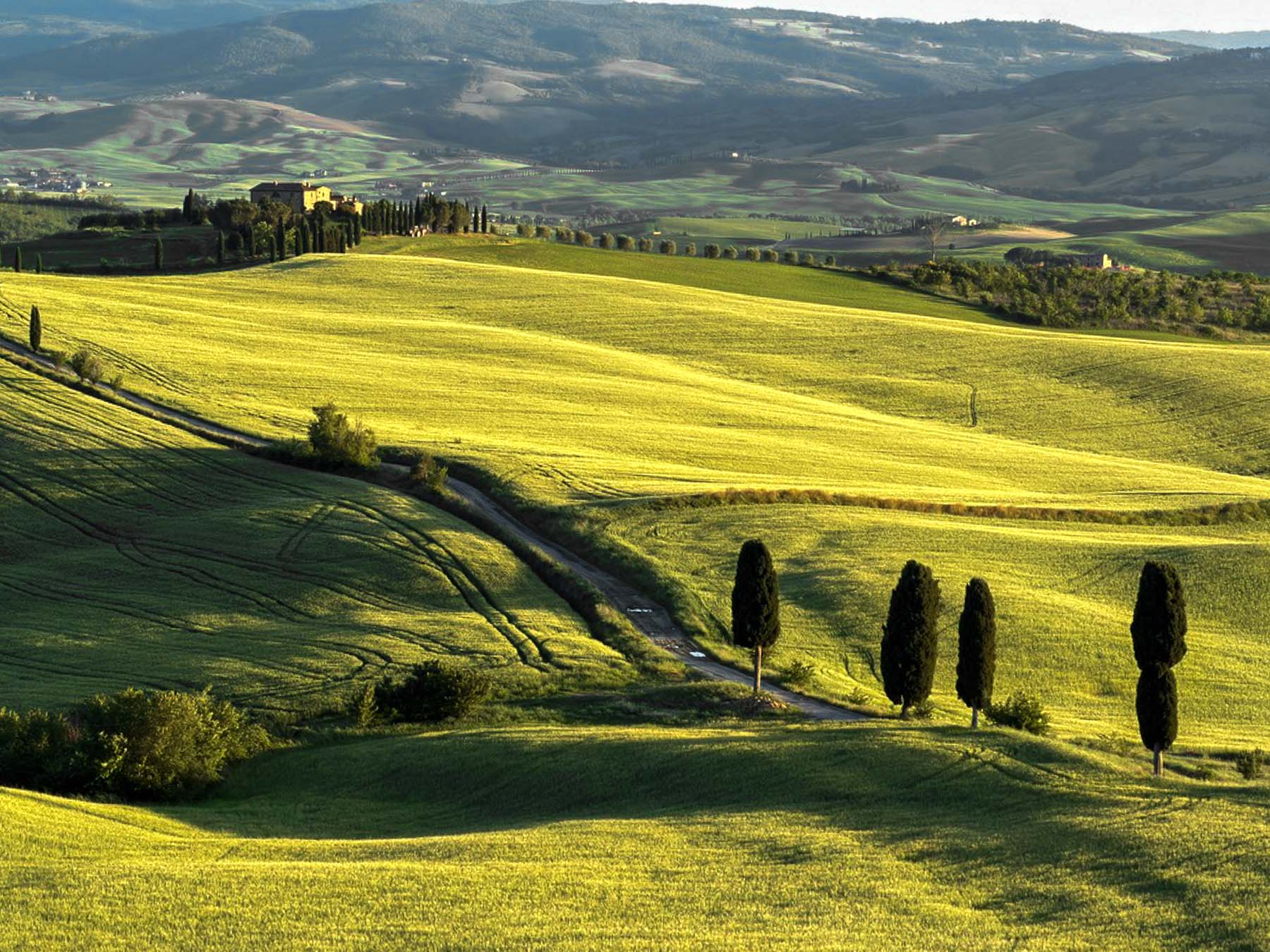 Val d'Orcia Tuscany landscape photography — Alex Wides photo tour — photo 3