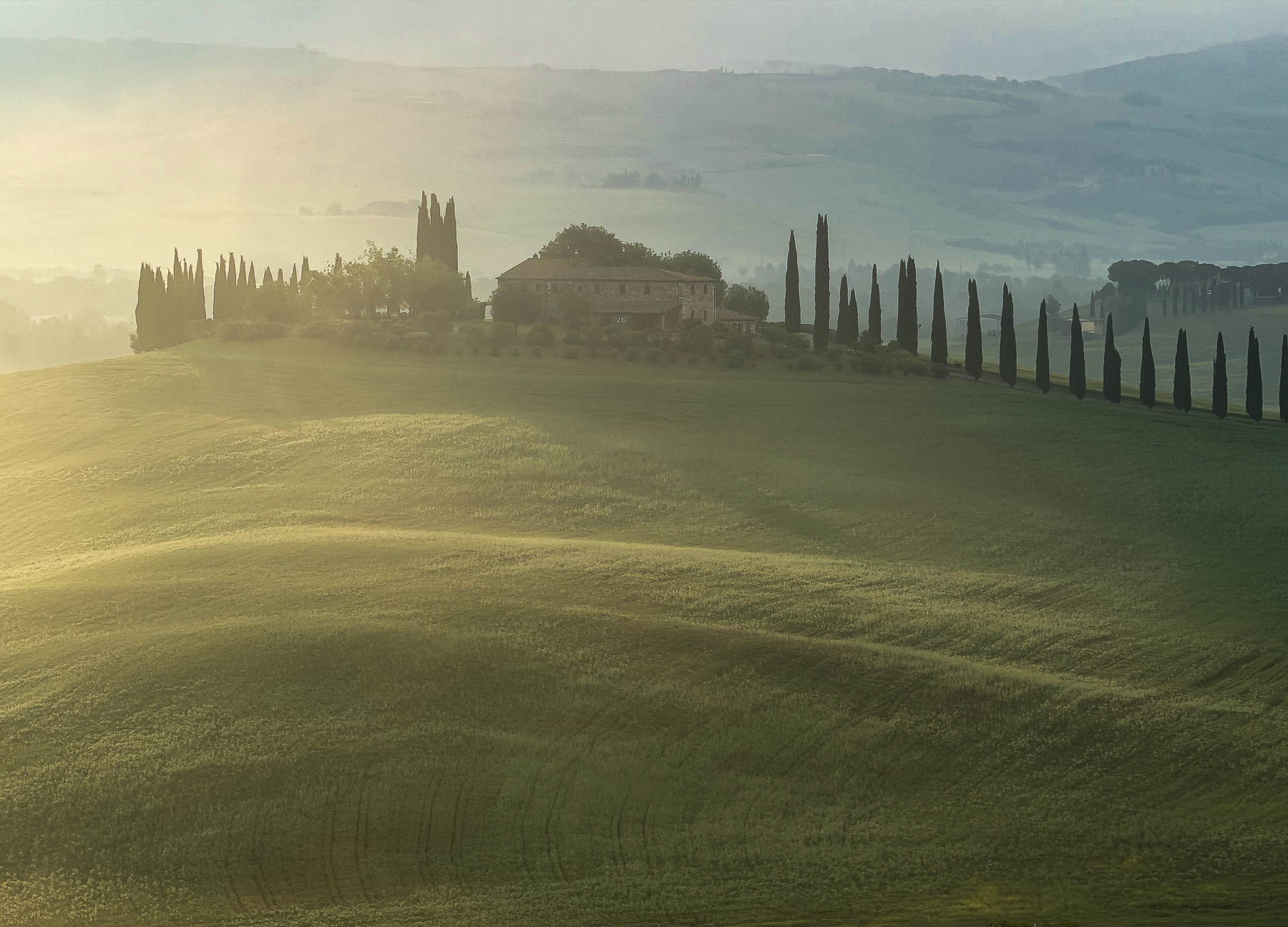 Val d'Orcia Tuscany landscape photography — Alex Wides photo tour — photo 8