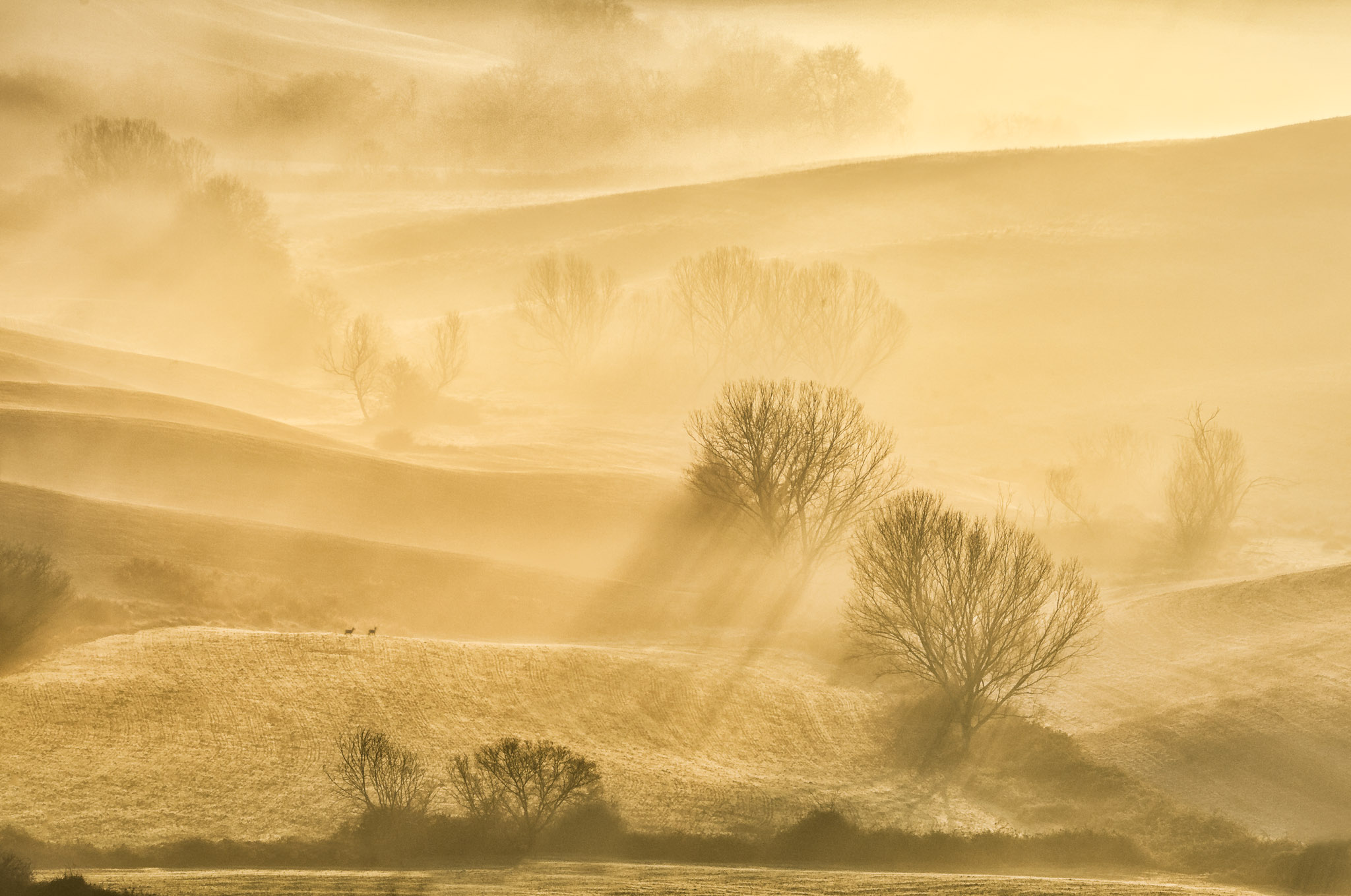 Val d'Orcia Tuscany landscape photography — Alex Wides photo tour — photo 12