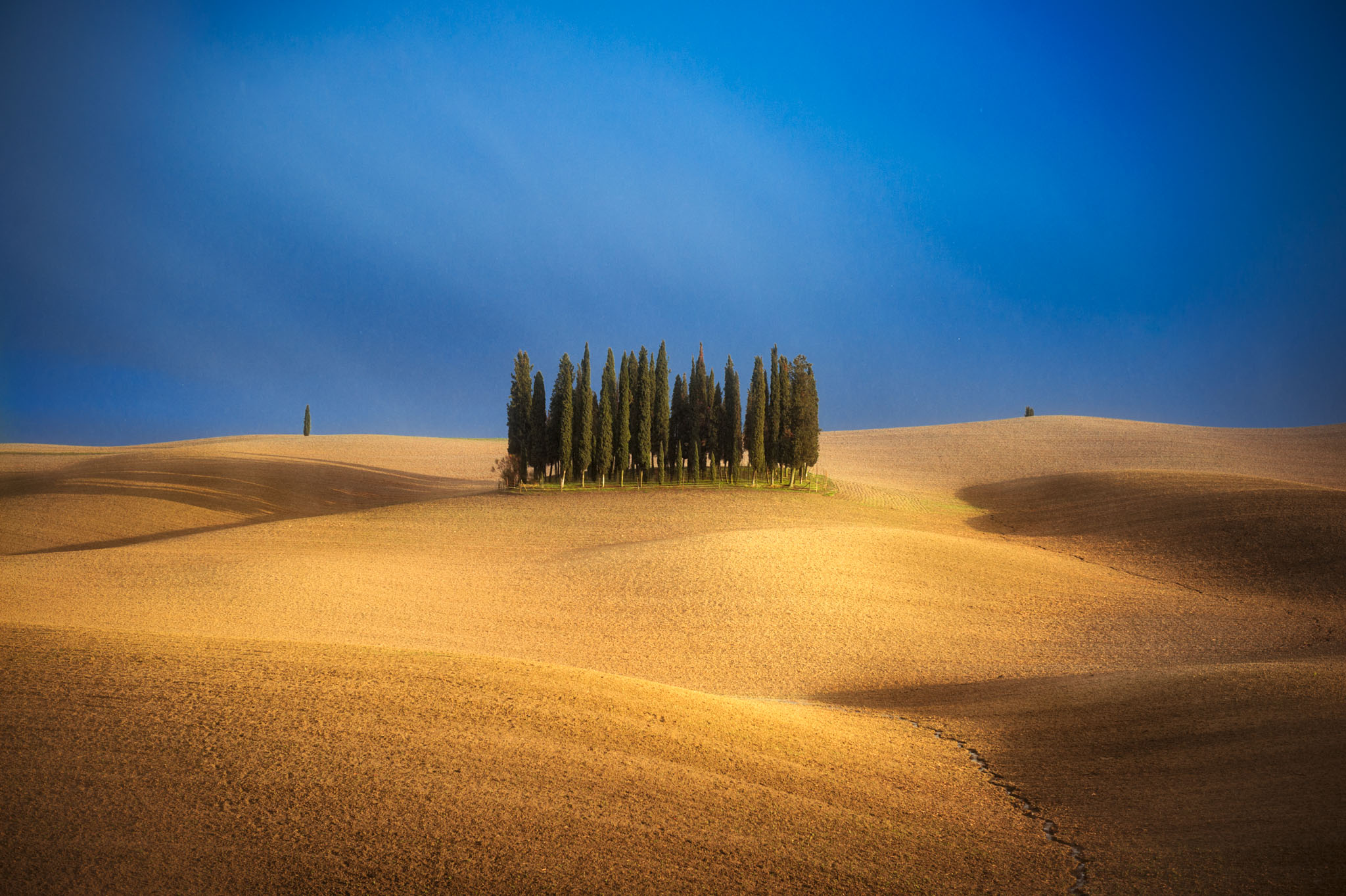Val d'Orcia Tuscany landscape photography — Alex Wides photo tour — photo 14