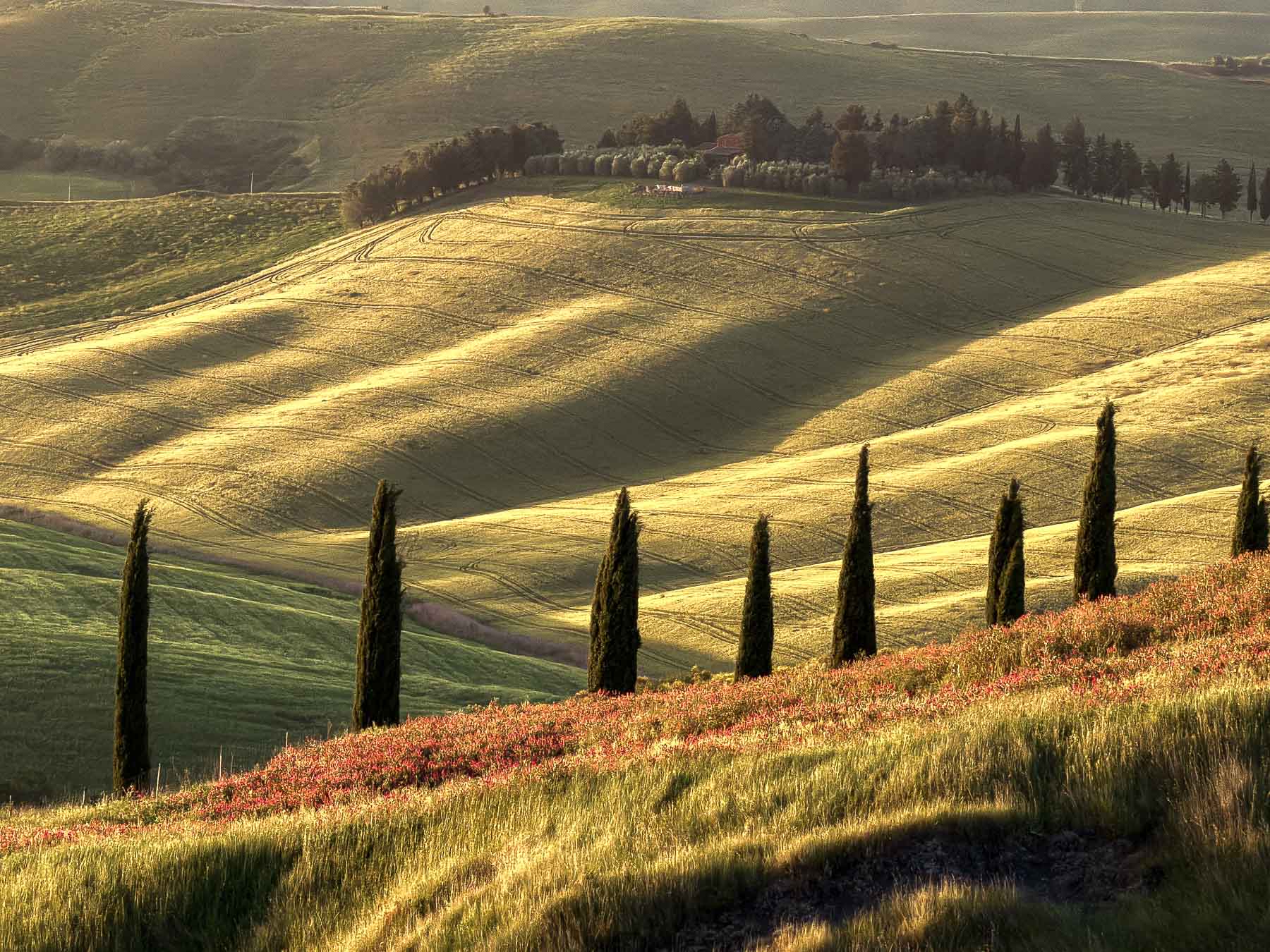 Val d'Orcia Tuscany landscape photography — Alex Wides photo tour — photo 18
