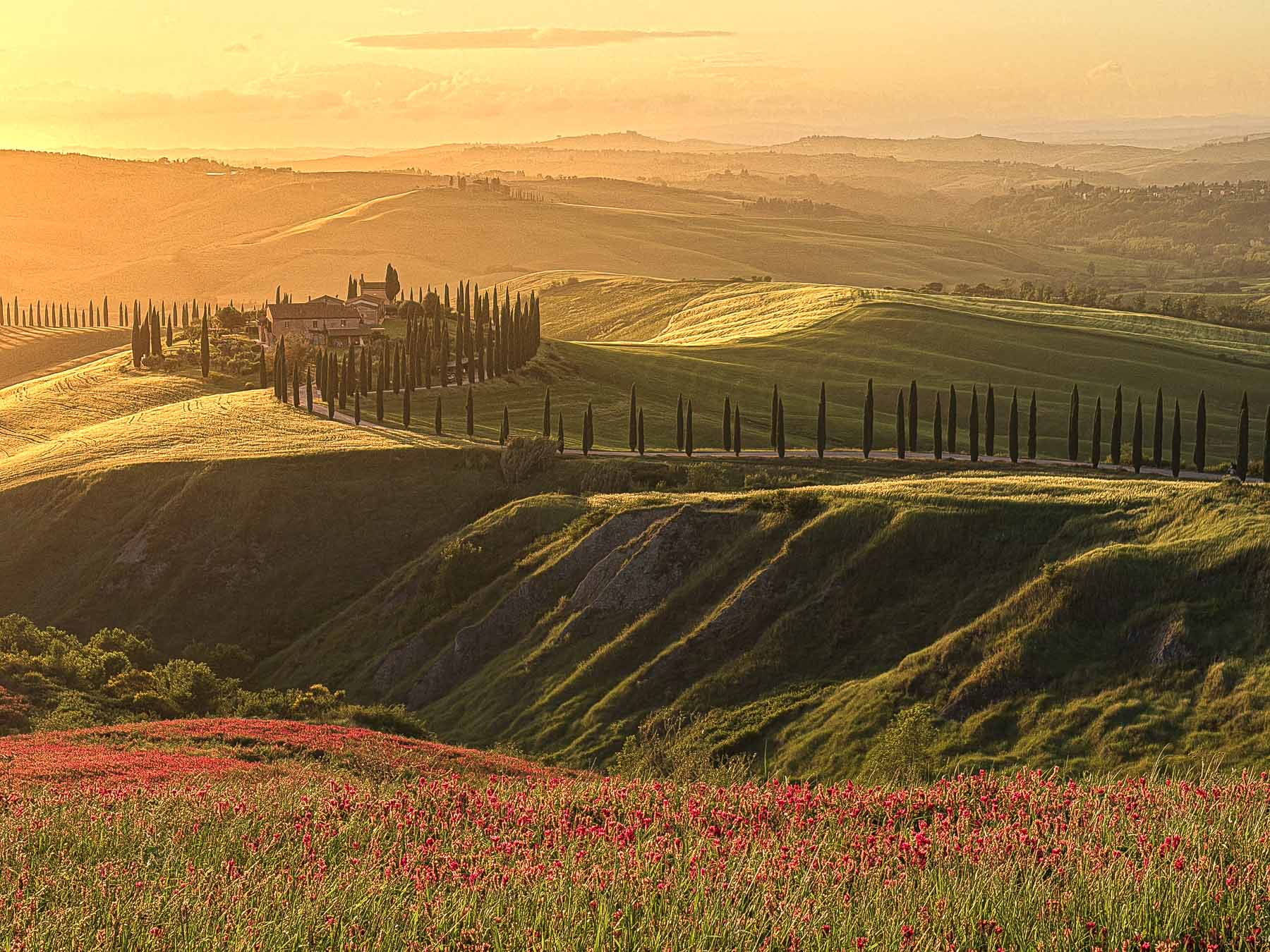 Val d'Orcia Tuscany landscape photography — Alex Wides photo tour — photo 20